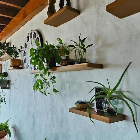Casa Morro Herreno *